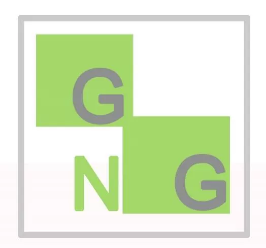 G N G GROUP CO., LTD.